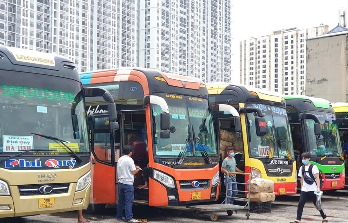 H52259